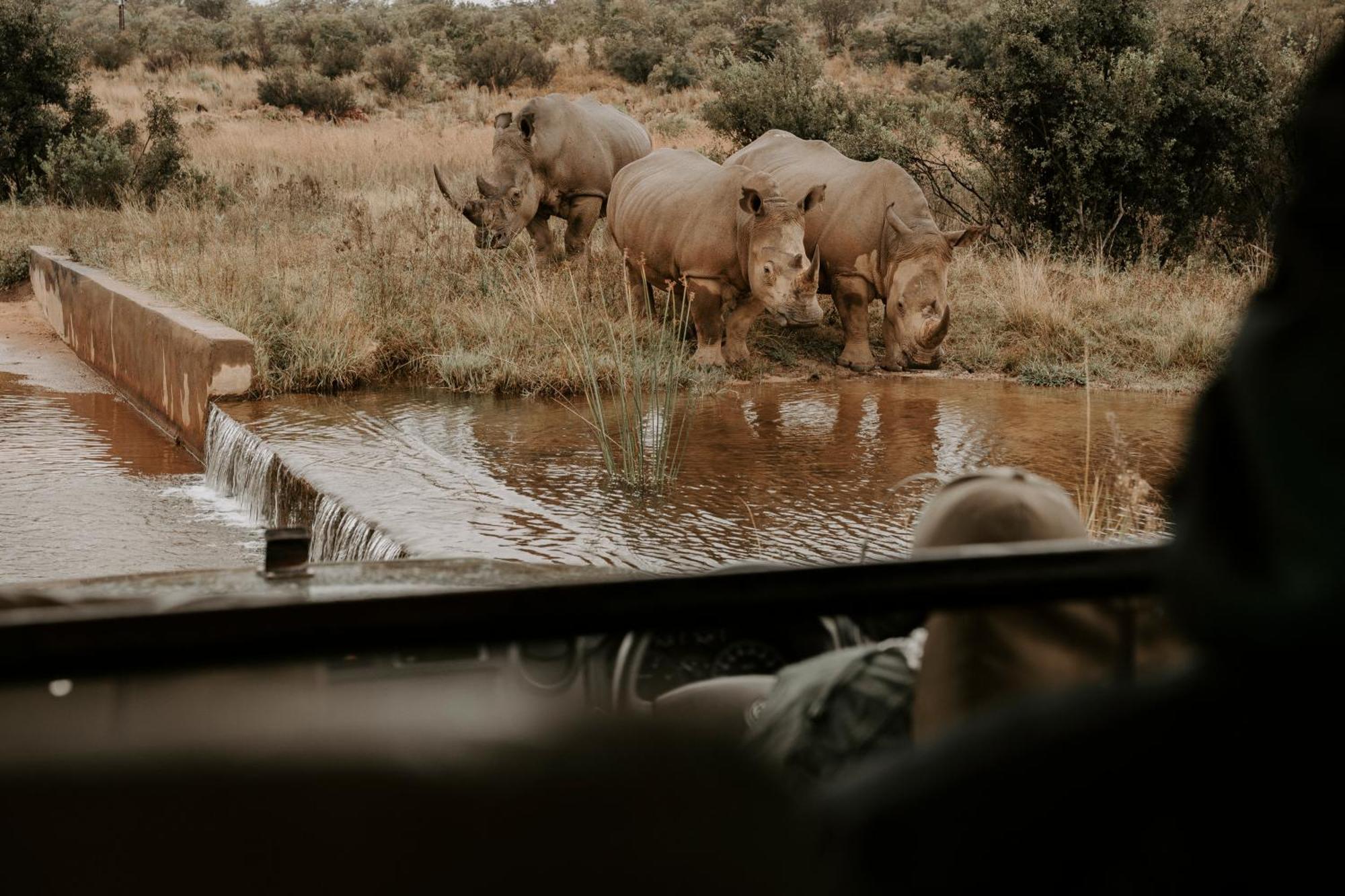 Matingwe Lodge Hartbeestfontein Esterno foto